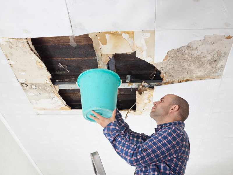 Roof leak causing mold in ceiling, repaired by Element Roofing, in Pleasanton, CA.