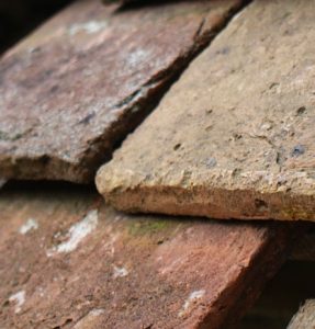 An old roof with bird poop needing roof replacement in Pleasanton, by Element Roofing.